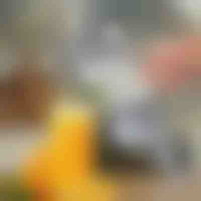 Kézi gyümölcs préselő | JUVOPRESS