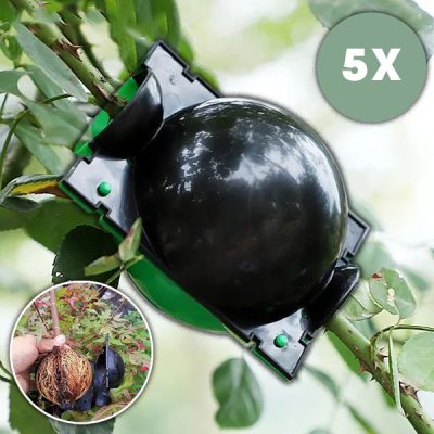 Egészséges gyökereket nevelő doboz (5 darab) | ROOTY