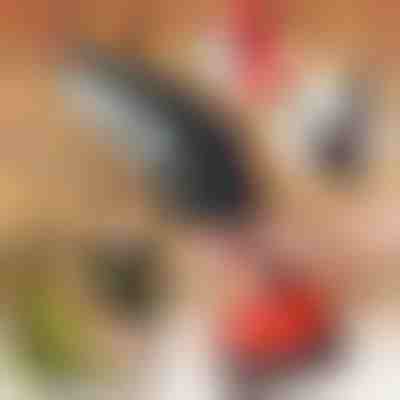 BRENCHIE elektromos kézifűrész