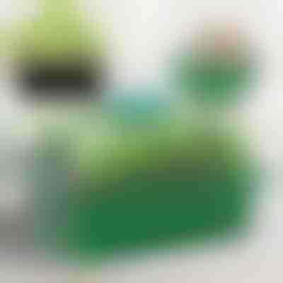 Osztott palántanevelő tálca | PLANTURKA