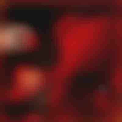 Ajándék, ami beszél a szeretetről | LOVEBEAR