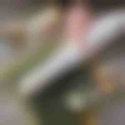 Könnyű otthoni sushi készítő | SUSHROLIO