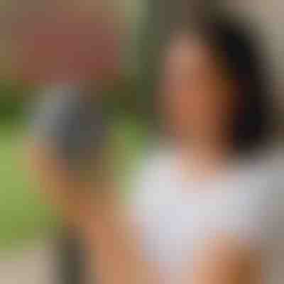 Napenergiával működő rovarcsapda, amely energiát takarít meg | BUZZORA