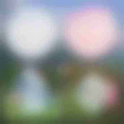 Többfunkciós Felfújható Buborék | SLIMEBUB