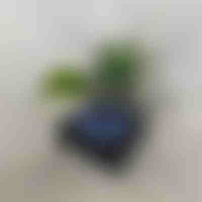 Retro Bluetooth hangszóró óceánhullám-projektorral (14 x 15 cm) | VIVAPLAY