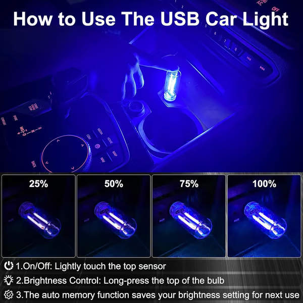 CARBULB-3831127633848-EN-2__280126