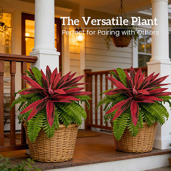 ARTIPLANT-3831127648920-EN-3__070526